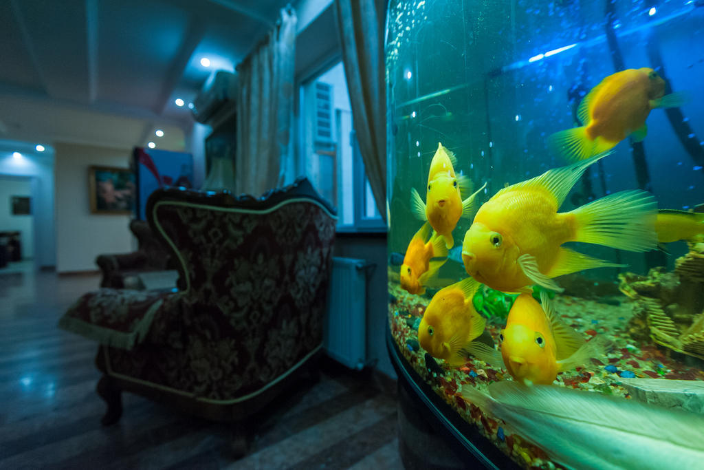 Leoton Chernivtsi Otel Dış mekan fotoğraf